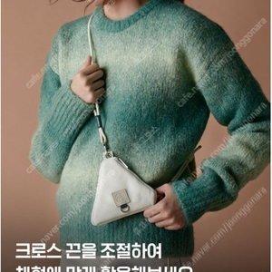 스타벅스 파우치 백 스타벅스 콜라보 백백 레이디백 명품 이너백 백앤센스 백인백