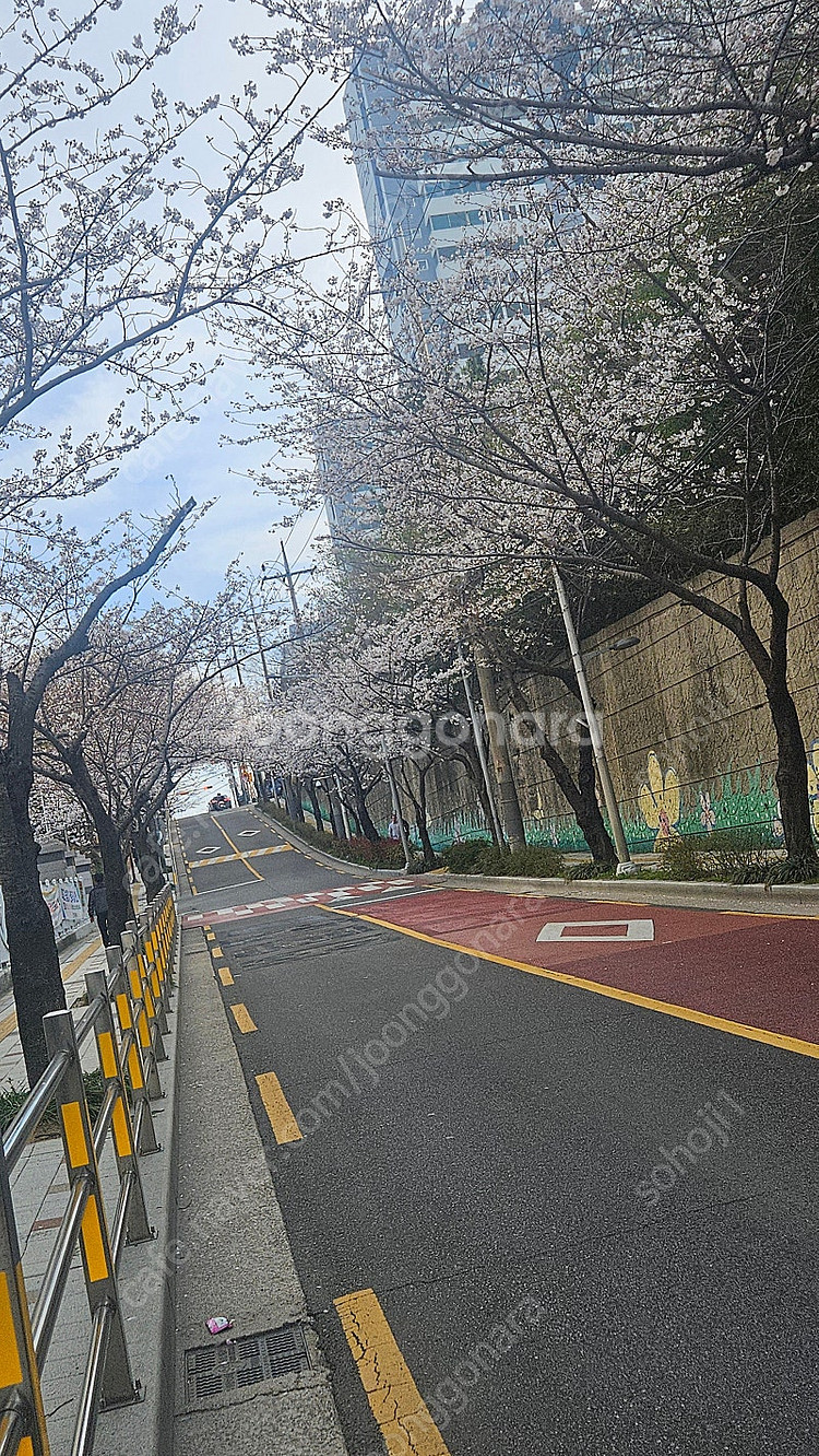 야마하YDS150 전자색소폰 부산직거래 삽니다--0