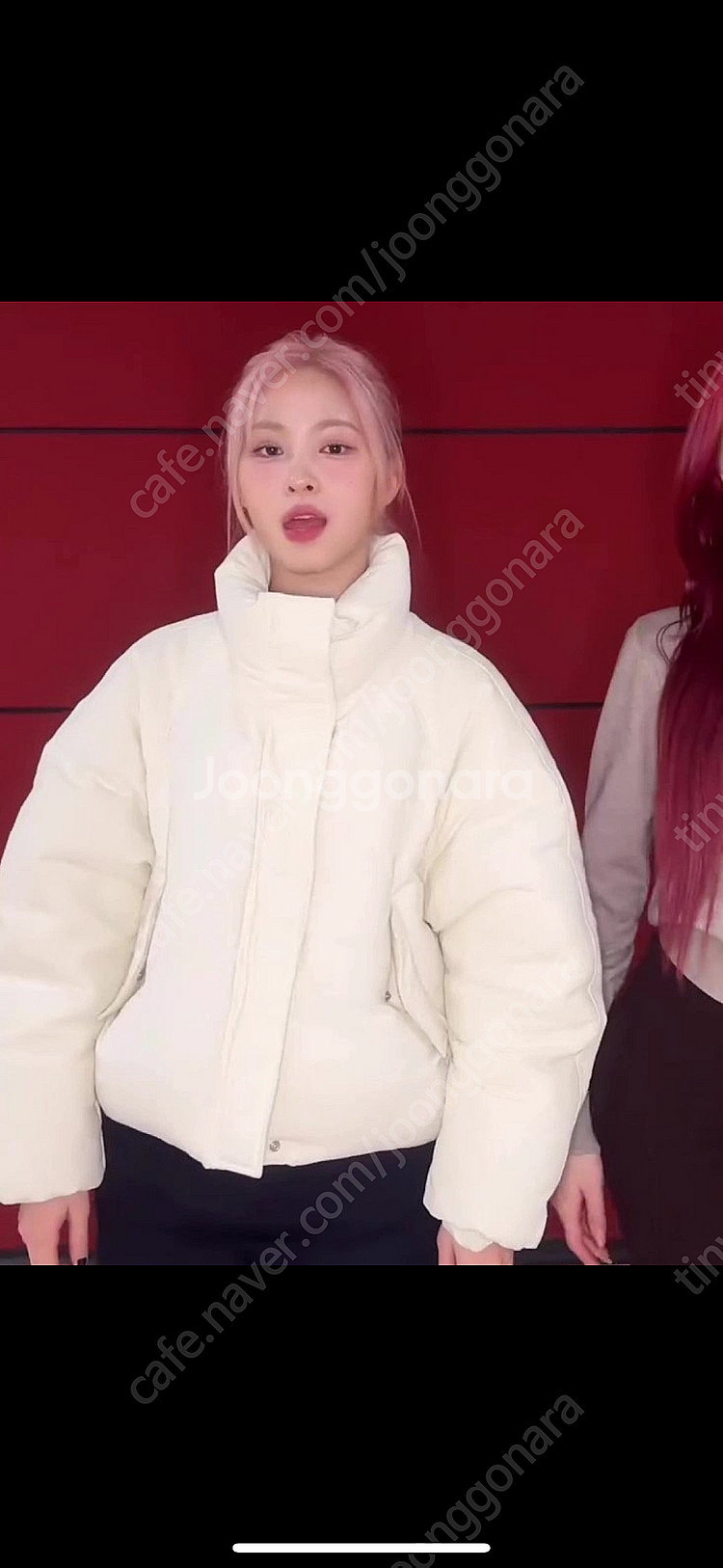 레이브 하이넥 구스다운 (타사이트유도거래 사절)--4
