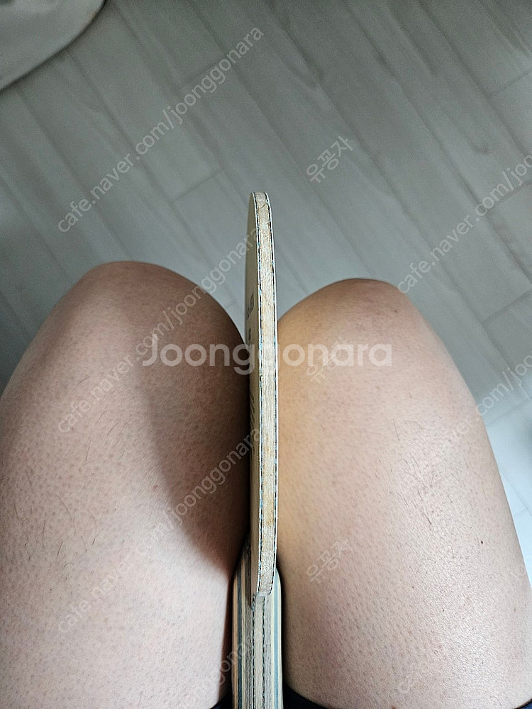 탁구라켓 구형비스카리아 팜--6