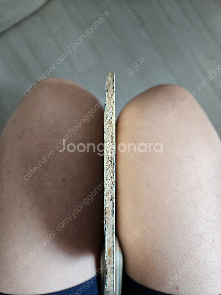 탁구라켓 구형비스카리아 팜--7
