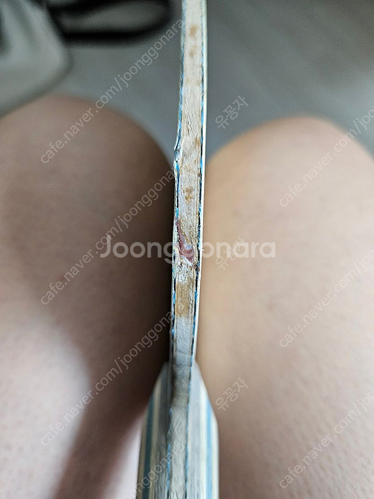 탁구라켓 구형비스카리아 팜--8