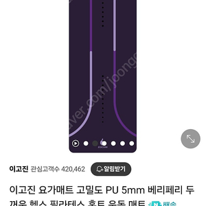 이고진 요가매트