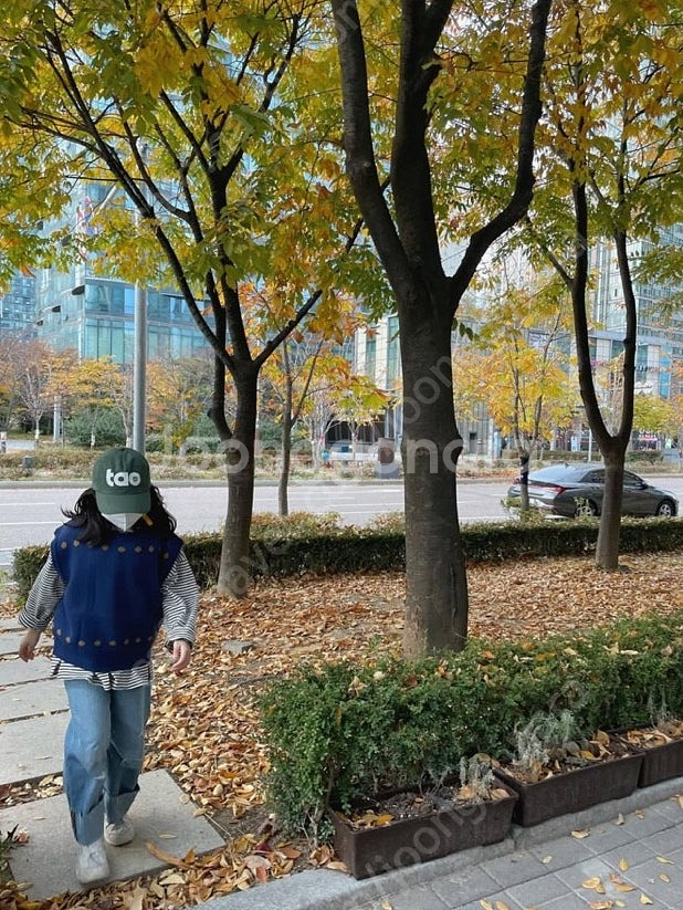 glgk 바람막이 / 타오 볼캡 / 아이러브제이 로아앤제인 로모로모 상하세트 / 자라키즈 청자켓 / 미니봉봉 미니포...--9