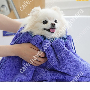 새상품 꼼짝마타올 반려견수건 강아지타월 대형타월