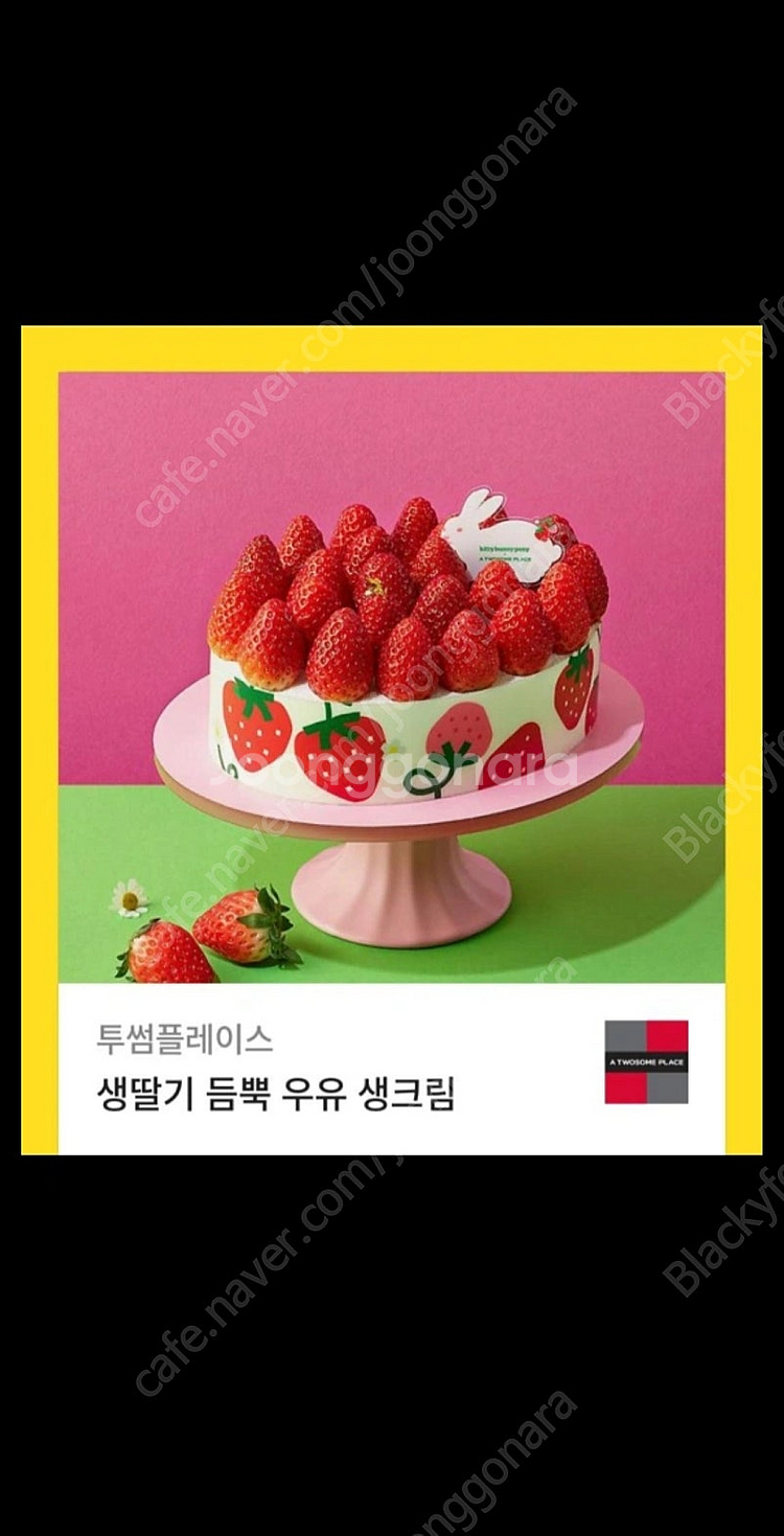 투썸플레이스 생딸기 듬뿍 우유 생크림(39000) 32...--0