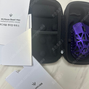 짐승 맥스 Beast X Max 짐맥 퍼플 펀키스 정발 판매합니다