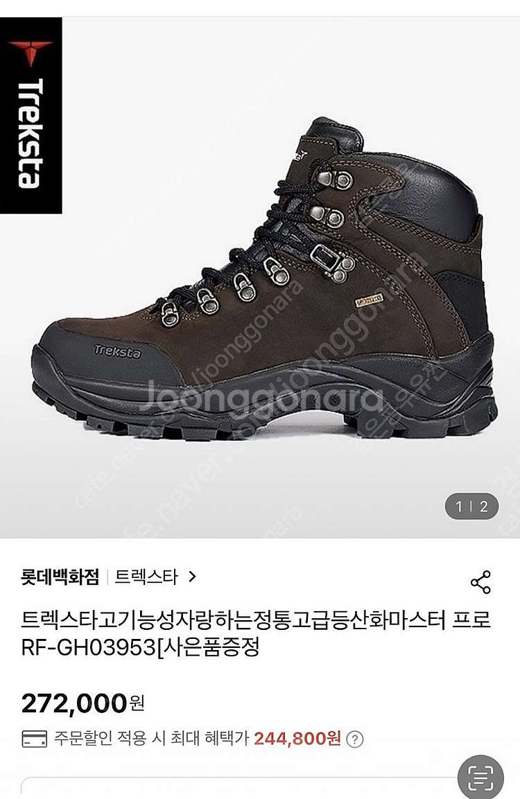 트렉스타 고어텍스 마스터프로--0