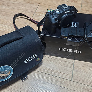 캐논 미러리스 풀프레임 r8 팝니다.