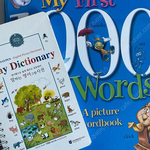 세이펜 말하는 영어사전 블루앤트리 1000 words