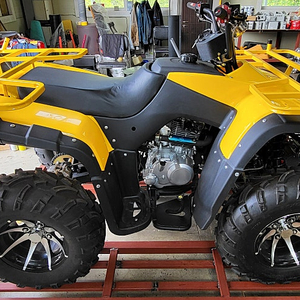 사발이 ATV 사륜바이크 이륜구동 250cc 농업용 레져용 (마지막 잔량 10대 한정)