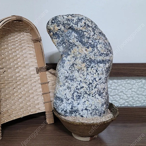 물형의 거대한 호피석 수석