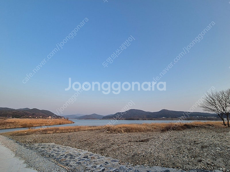 네이버멤버쉽 연간구독 같이하실 마지막 한분 구합니다 (...--0