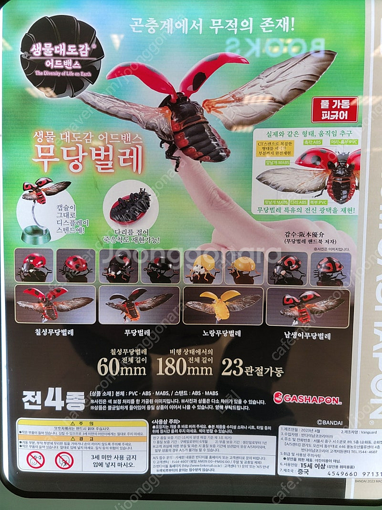 생물대도감 장수풍뎅이 청개구리 무당벌레--4