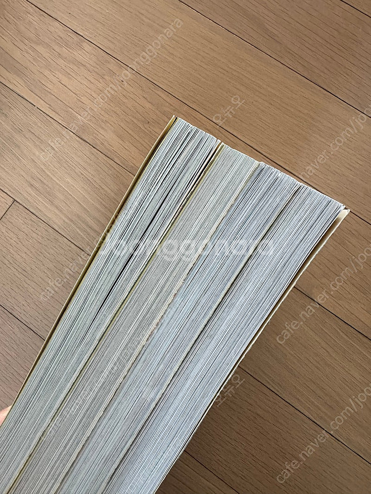 Geronimo Stilton 13권--4