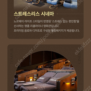 CGV 씨네드쉐프 할인 예매 장당 15000원