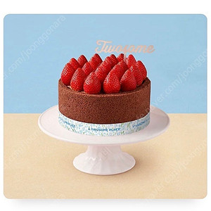 스트로베리 초콜릿 생크림 스초생 투썸
