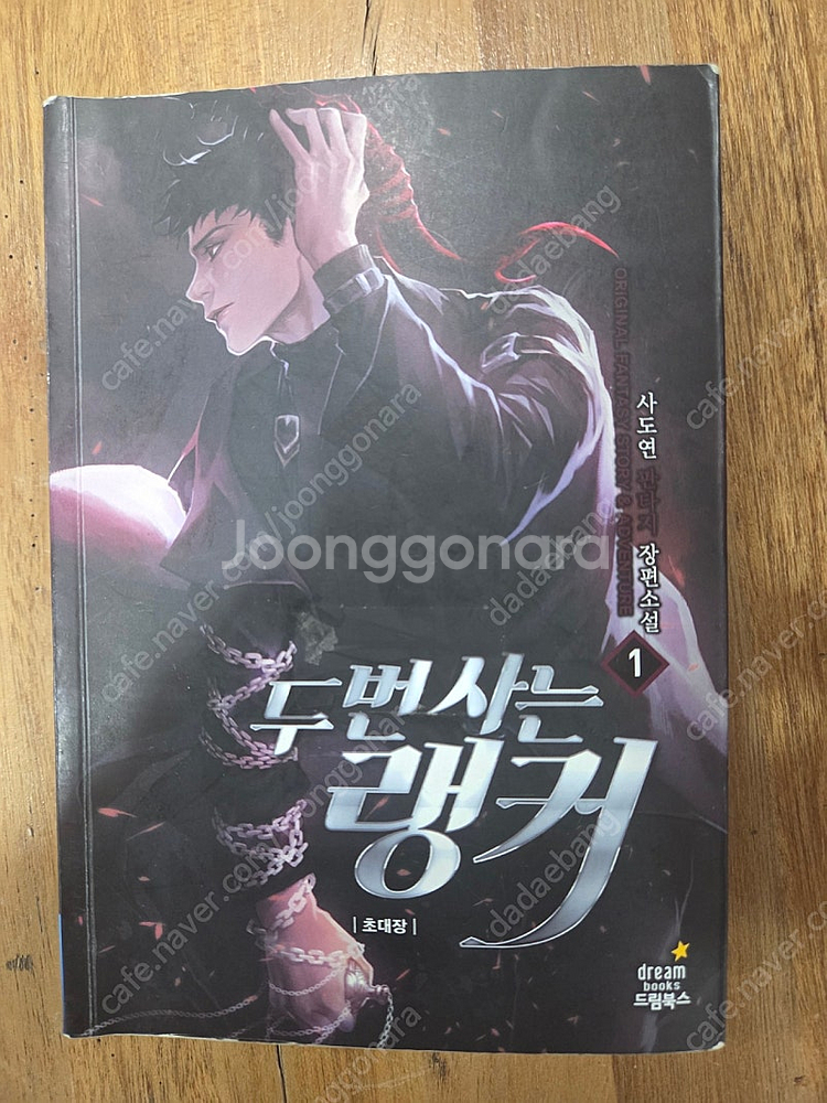 소설 두번사는랭커 사도연작가 1-32 완결 전권 판매합...--0