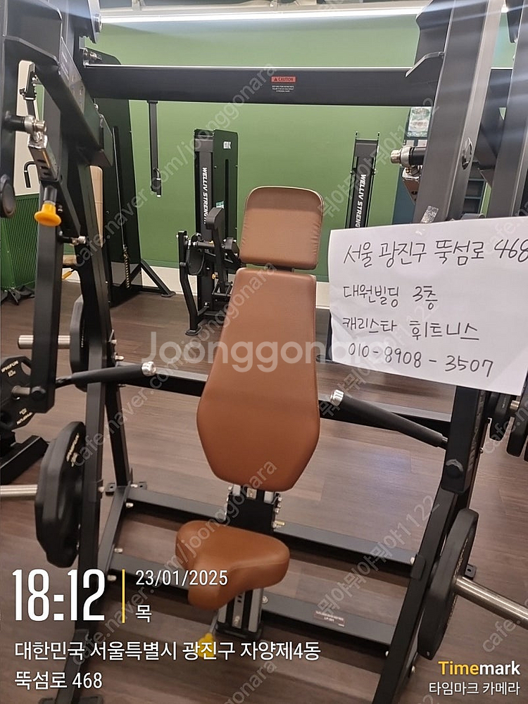 렉스코 체스트프레스--0
