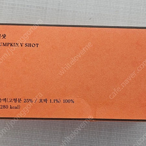 영라뉴 펌킨 브이샷