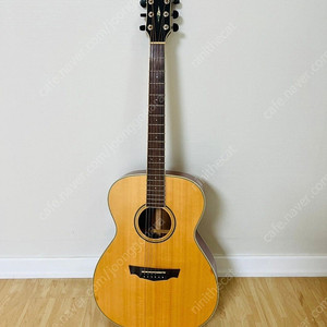 파크우드기타 Parkwood PW320M