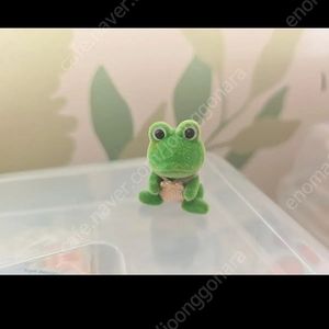 실바니안개구리