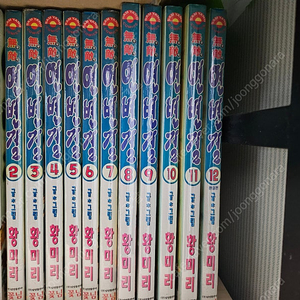 황미리 무적연변걸 12권 순정만화 심심풀이용