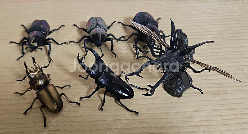반다이 생물대도감 미니 곤충 3탄 판매합니다.--1
