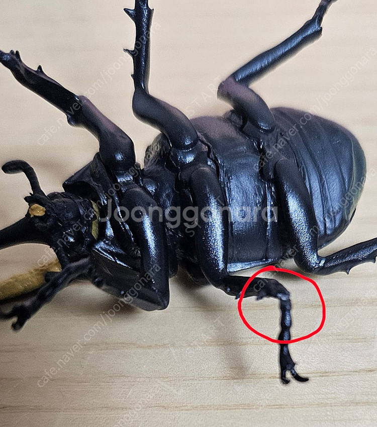 반다이 생물대도감 미니 곤충 3탄 판매합니다.--2