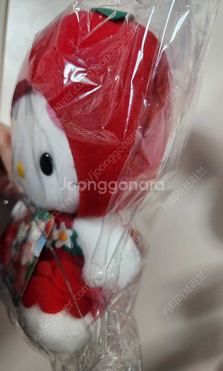 헬로키티 신슈 지역한정 사과 키티 인형 고전 키티 인형...--3