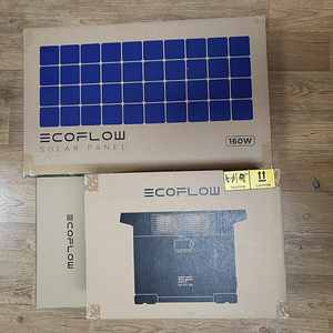 미개봉 새상품 에코플로우 델타2+160w 태양광패널 +가방 팝니다 115만원!