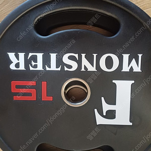 에프몬스터 원판 15kg x 2