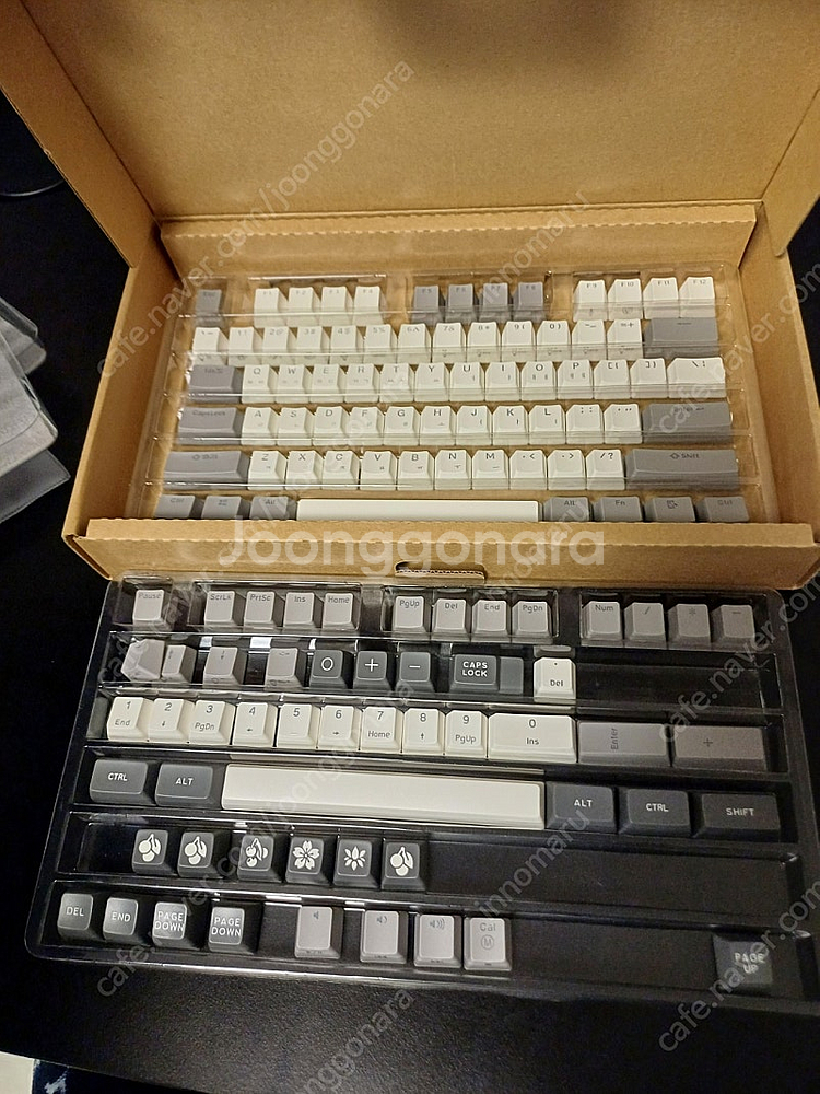 콕스 엠프리스 무접점 + 키캡(maxkey sa)--1
