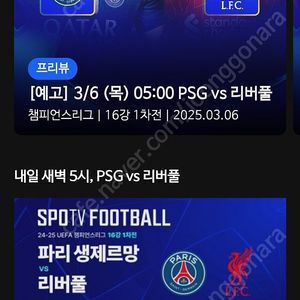 스포티비 나우 프리미어 리그 챔스 베이직만 1천원 금일 토트넘 경기 가능