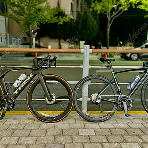 트렉 마돈 slr7 54사이즈