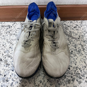 GW3548 코파 센스 TF 295 사이즈 팝니다