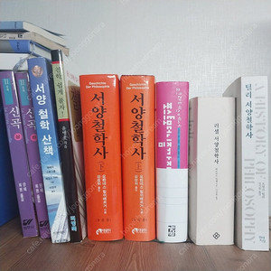 철학 신학 도서 40%에 정리합니다