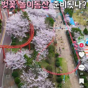테무 신규 추천인 한분만 구해요