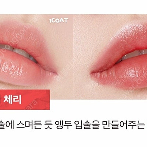 토니모리 글로스 바