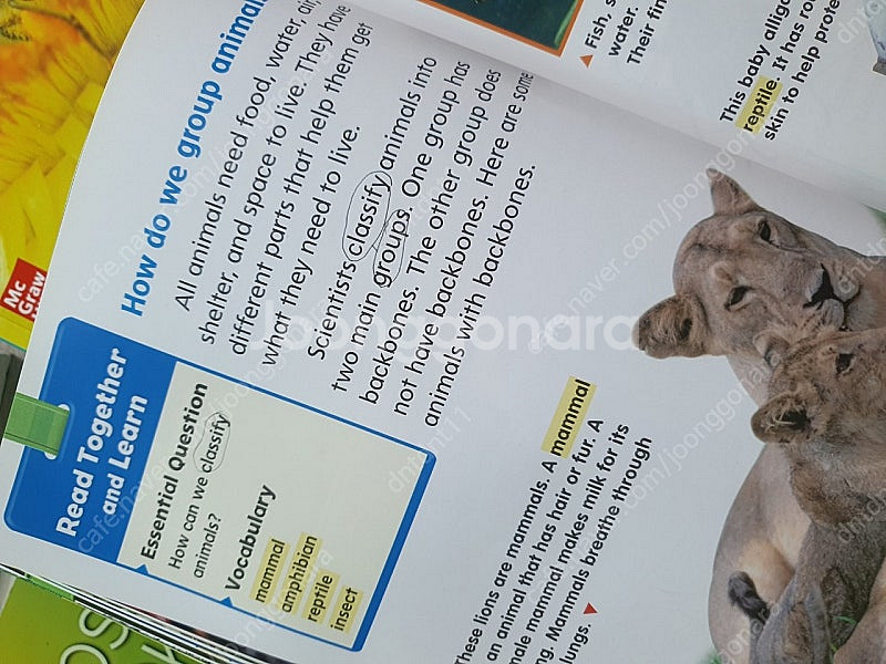 a closer look G2 a-f 6권 일괄 58000원 팝니다--2