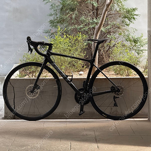 2022 자이언트 TCR 어드밴스 2 KOM 팝니다