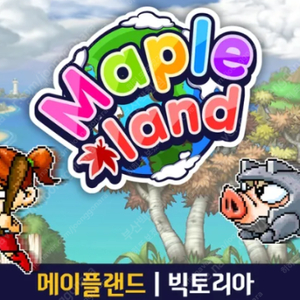 메이플 월드 메이플 랜드 코인 80퍼 팝니다.