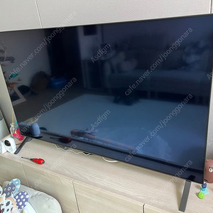 LG 55인치 OLED TV + TV장(현대 리바트)