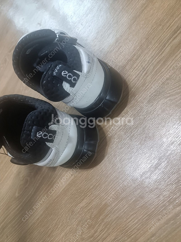 에코 골프화보아 250사이즈표기.ㅡ245가능--2