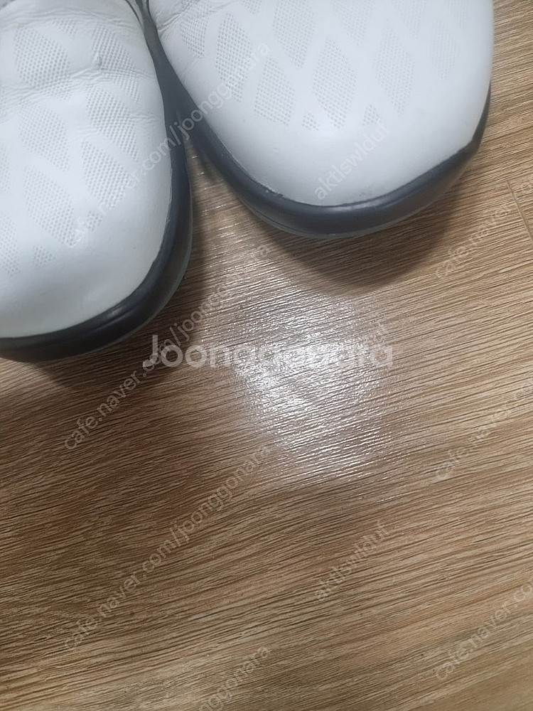 에코 골프화보아 250사이즈표기.ㅡ245가능--4
