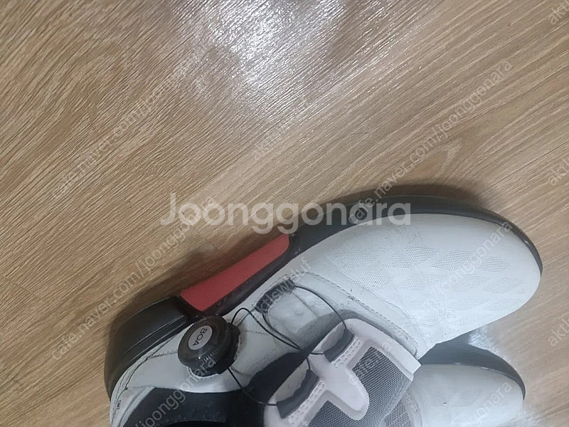 에코 골프화보아 250사이즈표기.ㅡ245가능--6