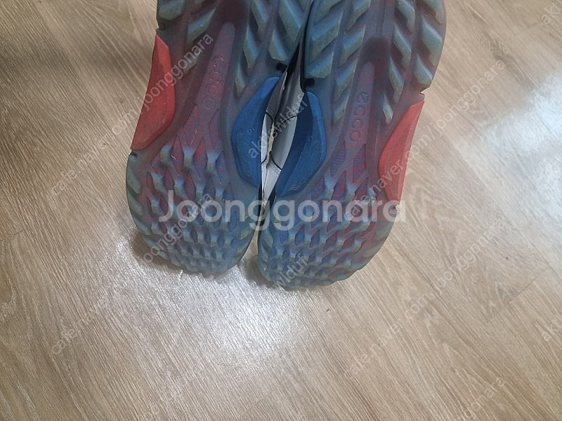 에코 골프화보아 250사이즈표기.ㅡ245가능--7