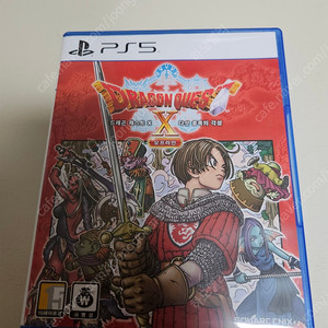 PS5 드래곤퀘스트10