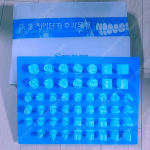 치아 모형, 치아단계 조각모형