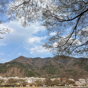 밀양시 미르오토캠핑장 2박 양도합니다 (4/4~6)